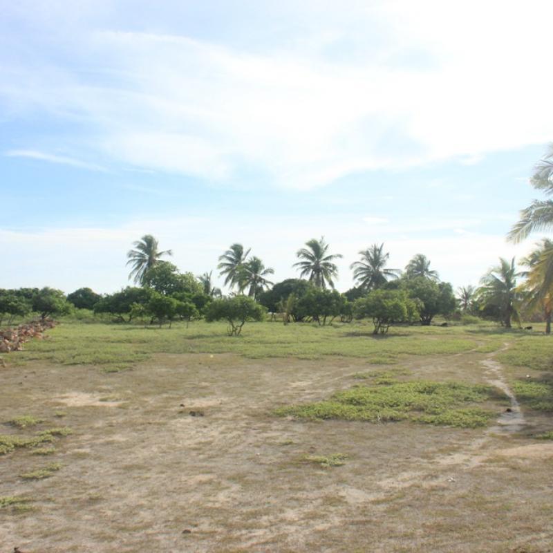 Terrain – villa - maison – propriété – à vendre – à louer – location - location longue durée – location à l’année – investissement – achat – vente – plage – bord de mer - sable blanc – Indonésie – Roti island – Bali – chambre – notaire – consultant - juridique – création - société – administration – voyage – entreprise – hôtel – commerce – restaurant – projet – visa – permis – travail – retraite – informations – découverte – aventure – produits – naturels – spa – salon – coiffure – réflexologie – savon – shampoing – anti-moustique – tourisme – plaisir – nature – surf – plongée – exploration – exotique – exotisme – massage – traditionnel – huile de massage – coucher de soleil – photos – galerie – soin de beauté – pédicure – manucure – agent immobilier – professionnel-Land - villa - house - property - for sale - rent - rental - leasing - rent annually - investment - purchase - sale - beach - sea - white sand - Indonesia - Rote island - Bali - bedroom - notary - consultant - legal - creation - company - administration - travel - business - hotel - shop - restaurant - project - visa - permit - work - retirement - information - discovery - adventure - products - natural - spa - lounge - hairdresser - reflexology - soap - shampoo – anti-mosquito – pleasure – nature – surf – diving – exploration - exotic - exotism - massage - traditional - massage oil - sunset - pictures - gallery - beauty treatment - pedicure – manicure – real estate agent – professional-Tanah - villa - rumah - properti - Dijual - disewakan - dikontrakan - menyewa per tahun - investasi - pembelian - penjualan - pantai - laut - pasir putih - Indonesia - pulau Roti - Bali - bedroom - notaris - konsultan - hukum - penciptaan - wisata - - bisnis - Hotel - bisnis - restoran - proyek - visa - izin - pekerjaan - pensiun - informasi - penemuan - petualangan - produk - spa - - alam ruang duduk - penata rambut - reflexology masyarakat - administrasi - sabun - shampoo – anti-nyamuk - Pariwisata - menyenangkan - semacam - surfing - diving – eksplorasi - eksotik - eksotis - pijat - tradisional - pijat minyak - sunset - Foto - galeri - perawatan kecantikan - pedicure – manicure – properti agen - Profesional